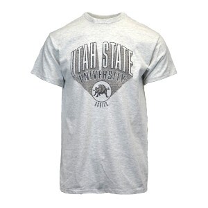 A t-shirt with Utah State University and the bull logo.